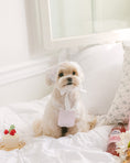 Load image into Gallery viewer, Sherbet Rose Bandana Baby Pink