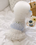 Load image into Gallery viewer, Eyelet Lace Tutu Skirt