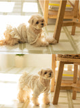 Load image into Gallery viewer, Royal Milk Tea Lace Blouse