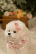 Load image into Gallery viewer, Strawberry Omelet Bolero
