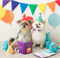 Load image into Gallery viewer, Party Series - Party Hat Set