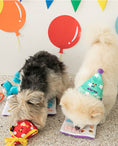 Load image into Gallery viewer, Party Series - Party Hat Set