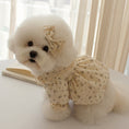 Load image into Gallery viewer, Pumpkin Pie Blouse