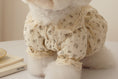 Load image into Gallery viewer, Pumpkin Pie Blouse