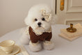 Load image into Gallery viewer, Pumpkin Pie Blouse