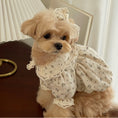 Load image into Gallery viewer, Pumpkin Pie Blouse