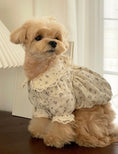 Load image into Gallery viewer, Pumpkin Pie Blouse