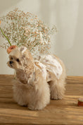 Load image into Gallery viewer, Sweet Pea Frill Dress