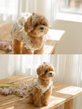 Load image into Gallery viewer, Sweet Pea Frill Dress