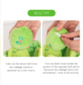 Load image into Gallery viewer, Cabbage Nosework Toy