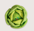 Load image into Gallery viewer, Cabbage Nosework Toy