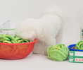 Load image into Gallery viewer, Cabbage Nosework Toy