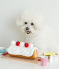 Load image into Gallery viewer, Roll cake Nosework Toy