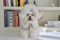 Load image into Gallery viewer, Tweed cape