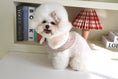 Load image into Gallery viewer, Tweed cape