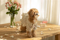Load image into Gallery viewer, Royal Milk Tea Lace Blouse