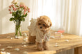Load image into Gallery viewer, Royal Milk Tea Lace Blouse