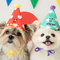 Load image into Gallery viewer, Party Series - Party Hat Set