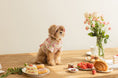 Load image into Gallery viewer, Strawberry Omelet Bolero