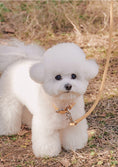 Load image into Gallery viewer, Rope Collar - 13 colors
