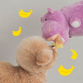 Load image into Gallery viewer, Tug-n-bite Toy