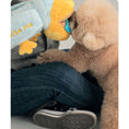 Load image into Gallery viewer, Tug-n-bite Toy
