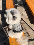 Load image into Gallery viewer, Grey Stripe Crop
