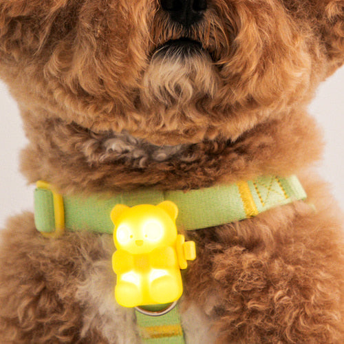 Jelly Bear LED Rechargeable Blinker (3 colours)