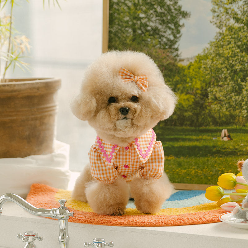 Spring Checkered Blouse