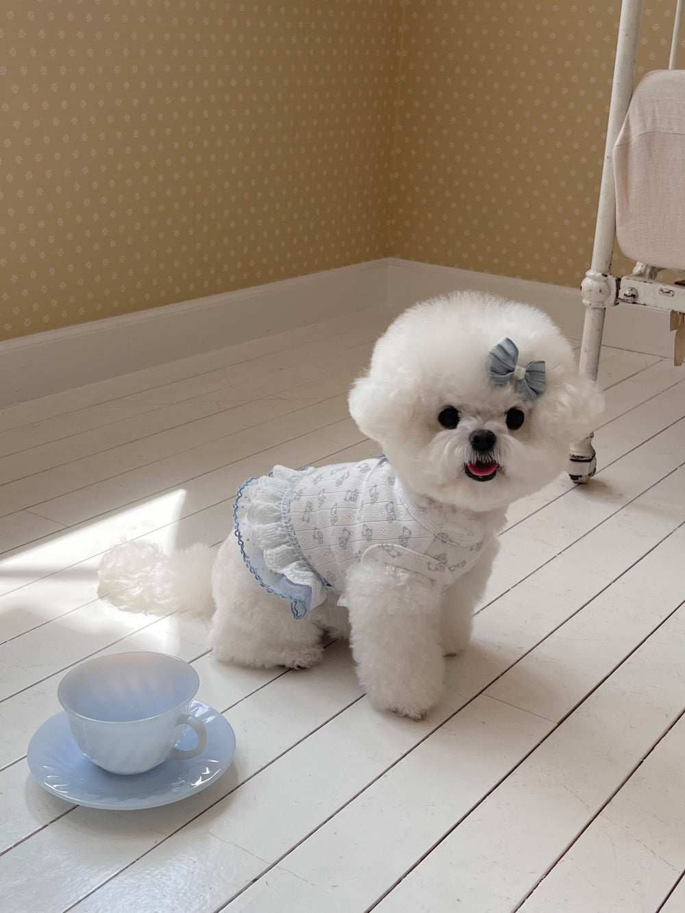Nini Bear Sleeveless - Pink/Blue