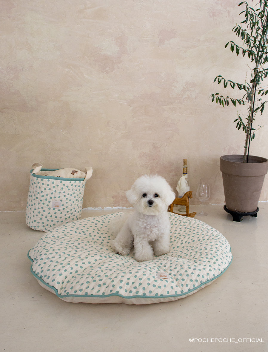 Dreamland Cushion