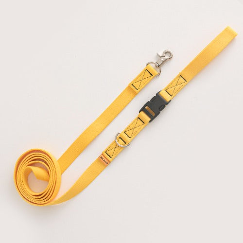 Candy Crayon Leash