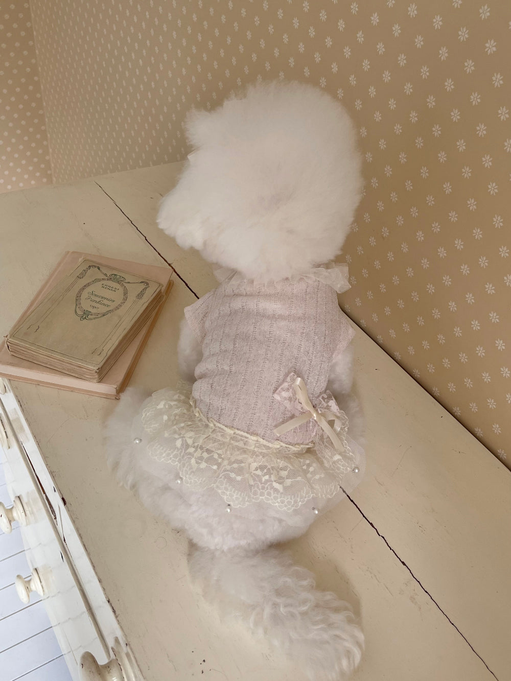 Iris Cape Collar Ops - Ivory