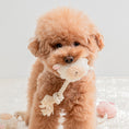 Load image into Gallery viewer, BonBon Green Furry Friends Rope Tug Toy
