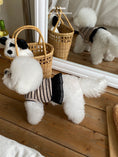 Load image into Gallery viewer, Bliss Bear Sleeveless
