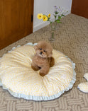 Dreamland Cushion