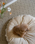 Load image into Gallery viewer, Dreamland Cushion
