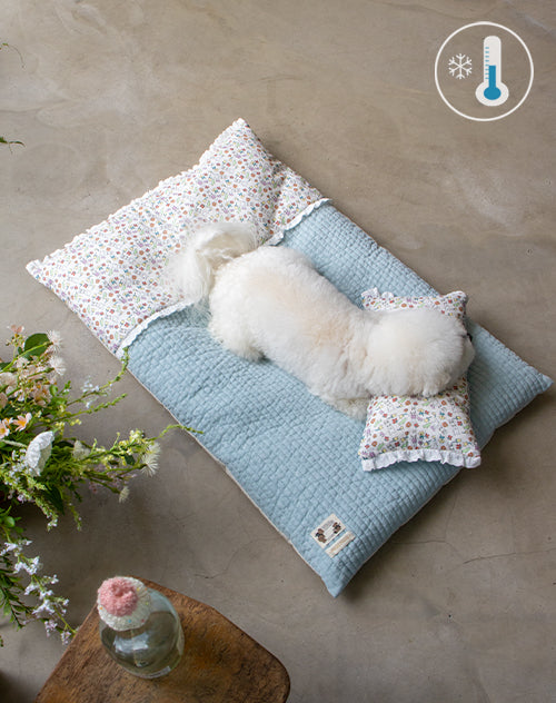 Cloud Rug