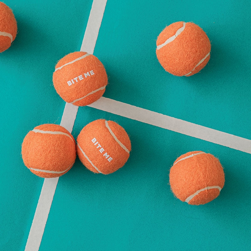 Mini Tennis Ball Toy Set