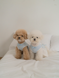 Load image into Gallery viewer, My Favorite Color Sleeveless - Baby Blue
