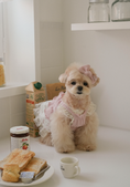 Load image into Gallery viewer, Jambon Beurre Bustier
