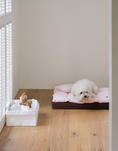 Load image into Gallery viewer, Square Bedding Set Raspberry
