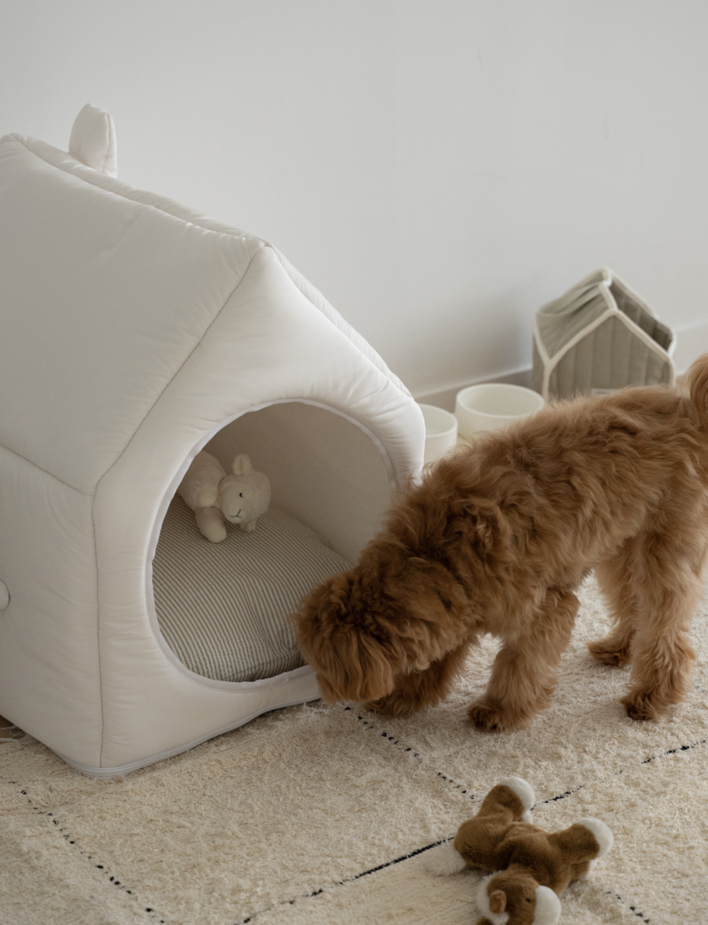 Informal House White