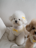 Load image into Gallery viewer, My Favorite Color Ops - Yellow
