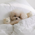 Load image into Gallery viewer, SSFW My Bestie Toy
