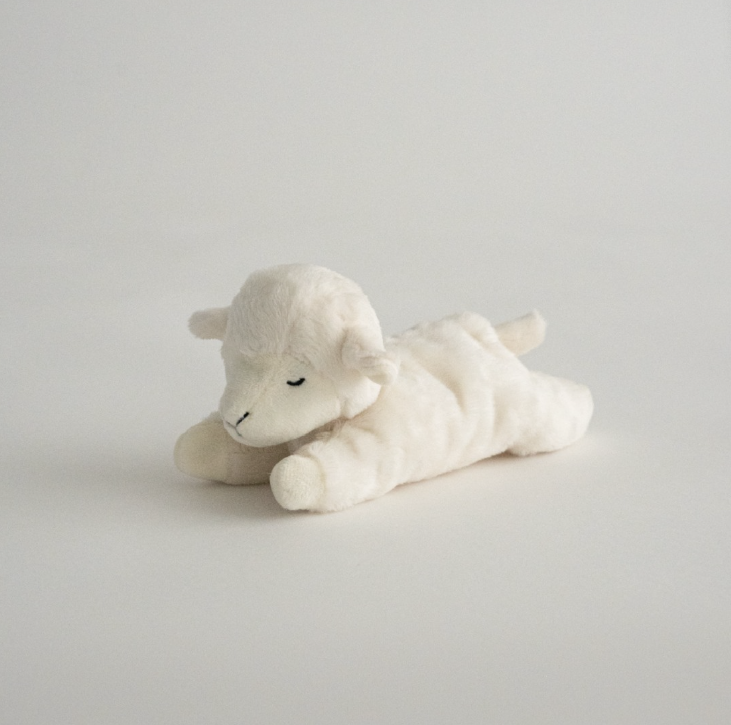 Buddy Toy