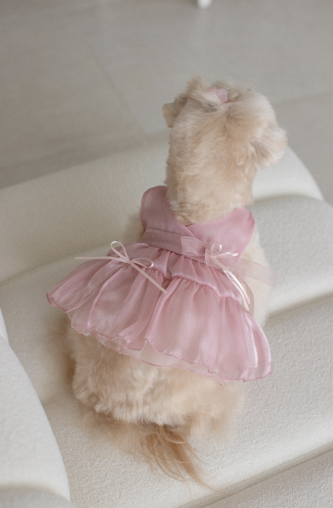 Yuhwa Hanbok Dress