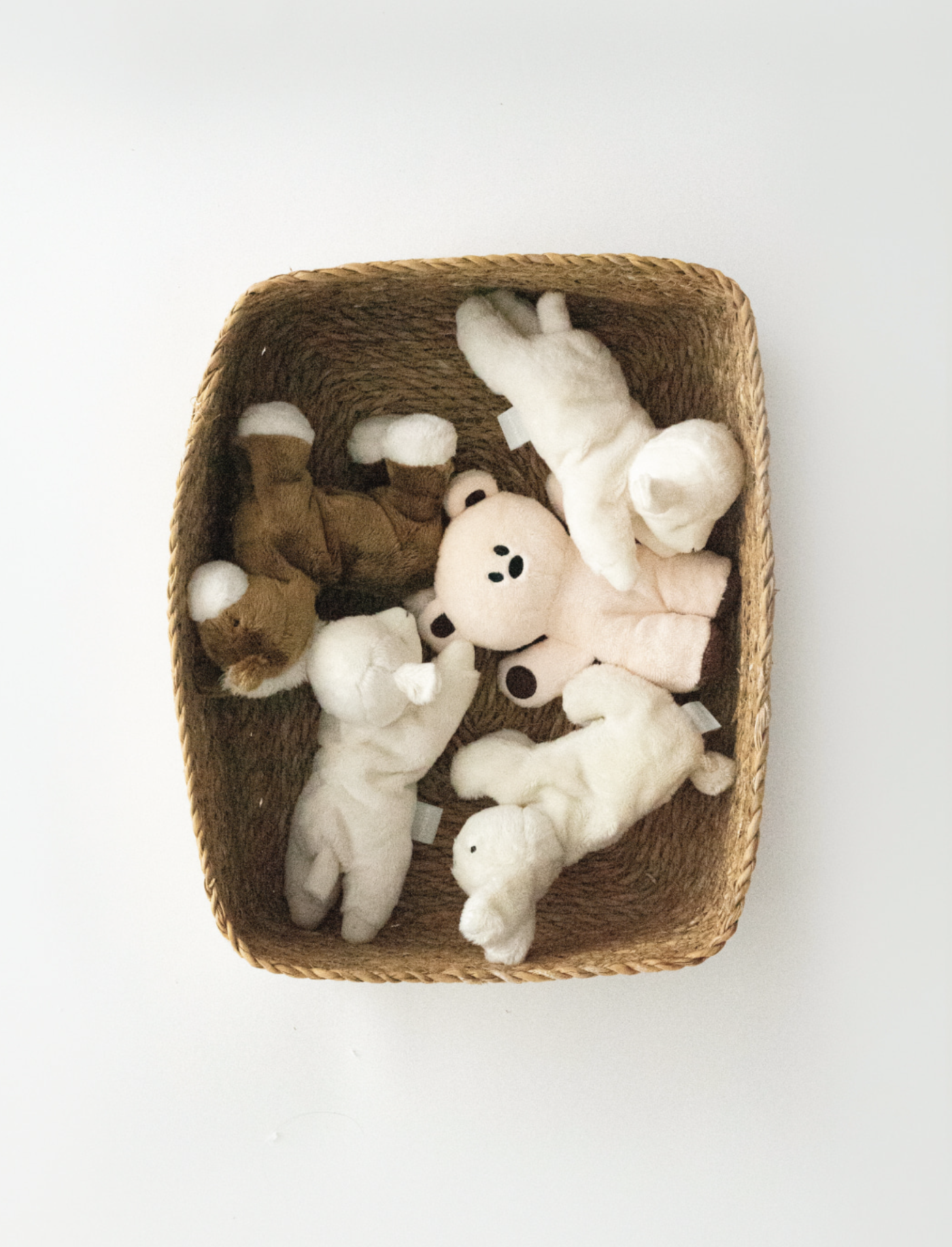 Buddy Toy