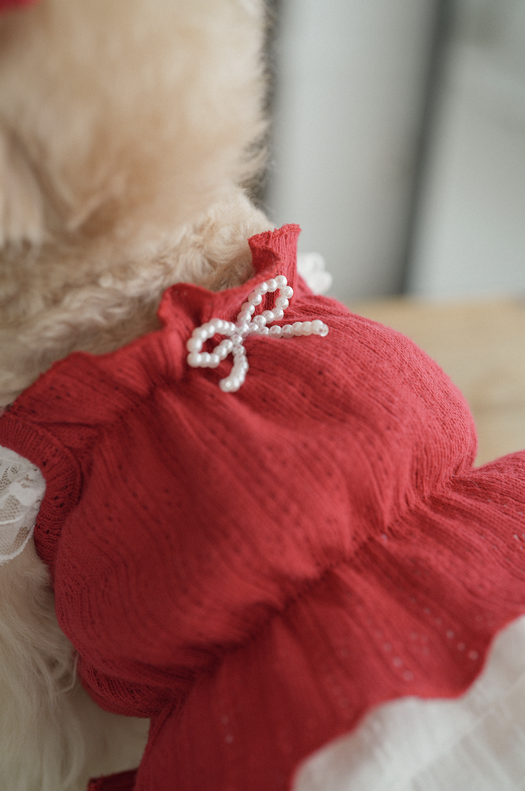Jambon Beurre Bustier