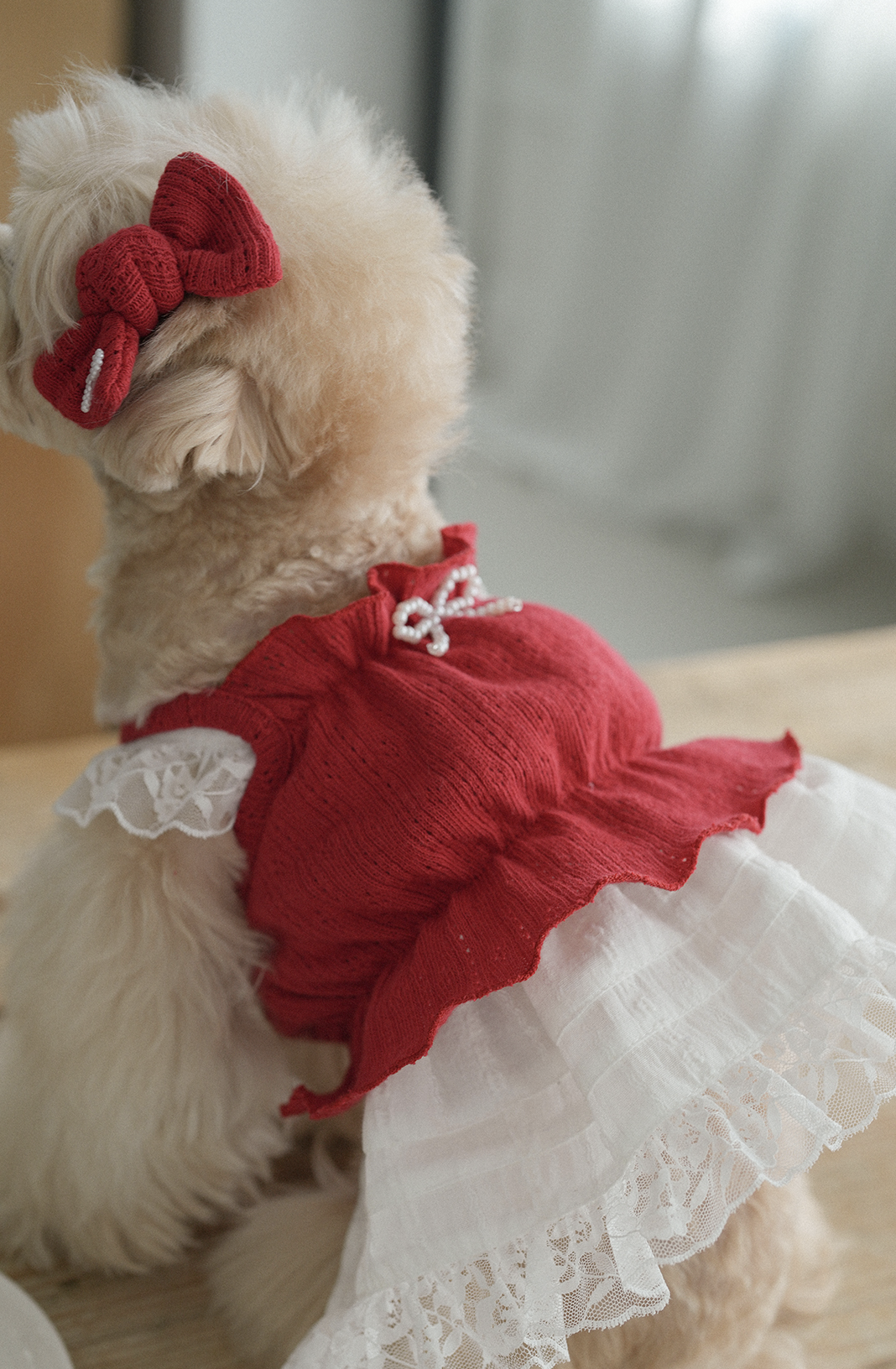 Jambon Beurre Bustier